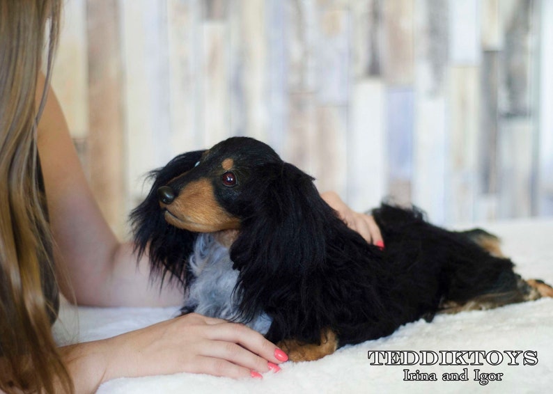 May include: A black and brown dachshund plush toy with long fur. The toy is lying on a white surface and a woman's hand is touching its head.