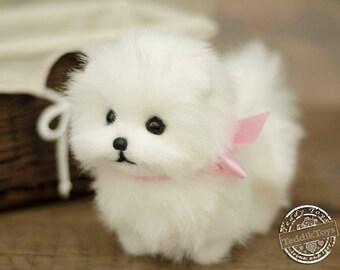 オーダーメイドのスピッツの子犬：コレクター向けポメラニアンの