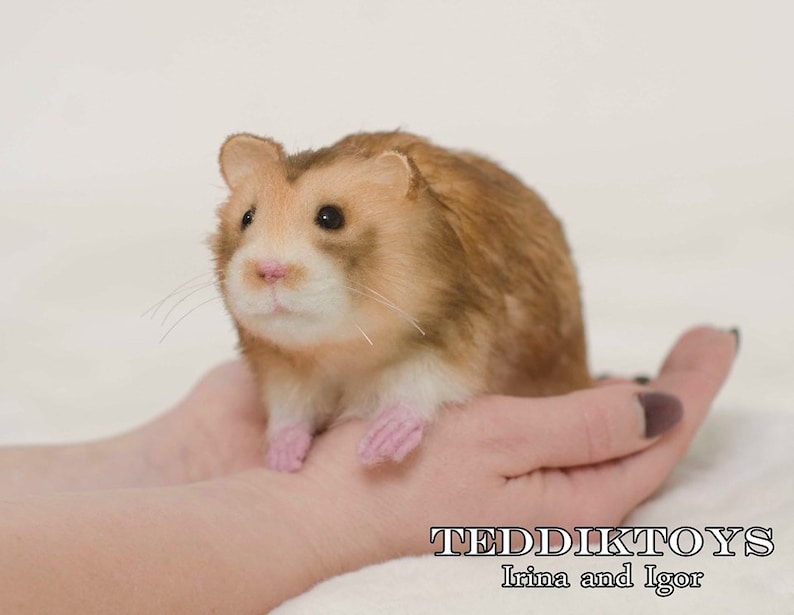 May include: A small, brown and white hamster with pink paws sits in the palm of a person's hand. The hamster is looking to the left of the image. The background is a light beige color. The text "TEDDIKTOYS Irina and Igor" is at the bottom of the image.