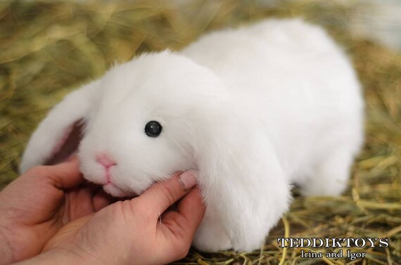 stuffed white rabbit