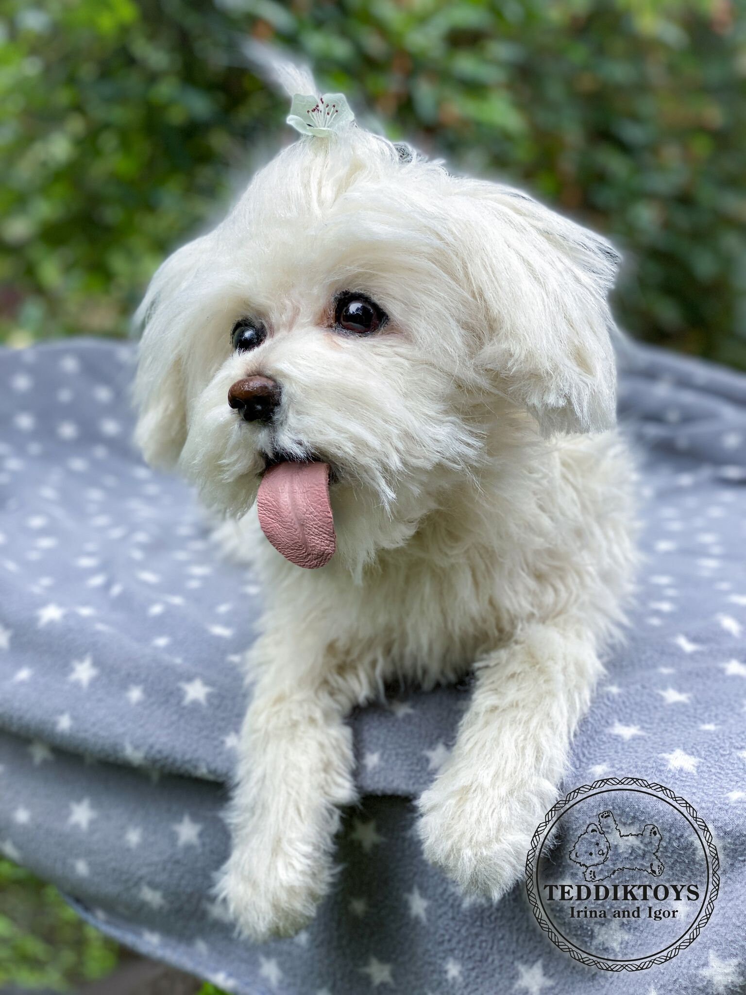 手作りマルチーズ犬のぬいぐるみ：ポーズが取れるテディベア（受注生産