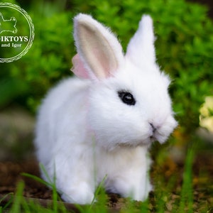 K&ouml;nnte beinhalten: Ein wei&szlig;es, flauschiges Kaninchen mit langen Ohren sitzt in einem Bett aus gr&uuml;nem Gras. Das Kaninchen hat schwarze Augen und eine rosa Nase.