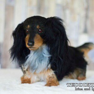 May include: A black and brown dachshund plush toy with long black fur and red eyes. The toy is lying on a white surface. The text "TEDDIKTOYS Irina and Igor" is visible in the bottom right corner of the image.