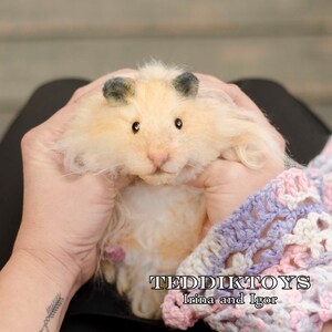 May include: A close-up of a small, fluffy, cream-colored hamster with black eyes and dark gray ears. The hamster is being held by two hands, and the text "TEDDIKTOYS Irina and Igor" is visible in the lower right corner of the image.