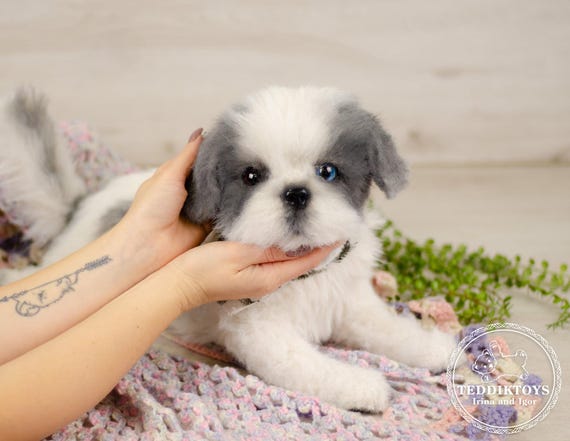 手作りシーズー子犬ぬいぐるみ：リアルなペットの肖像画犬（オーダー