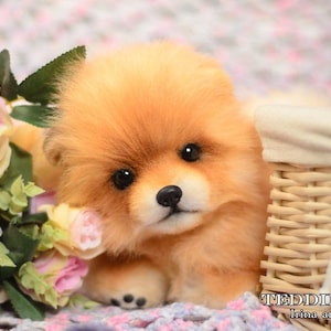Handmade Plush Spitz Puppy Dolly: Collectible Pomeranian Stuffed Animal