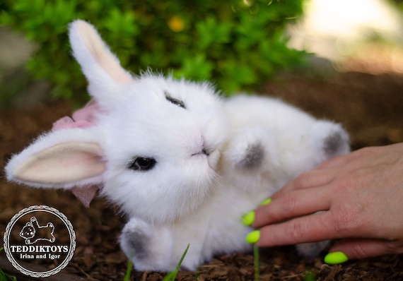 Bunny (made to order), stuffed animal, handmade toy, soft toy