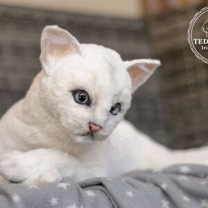 Kitten  Realistic life size cat. OOAK artist Handmade collectible animal by photo(made to order))