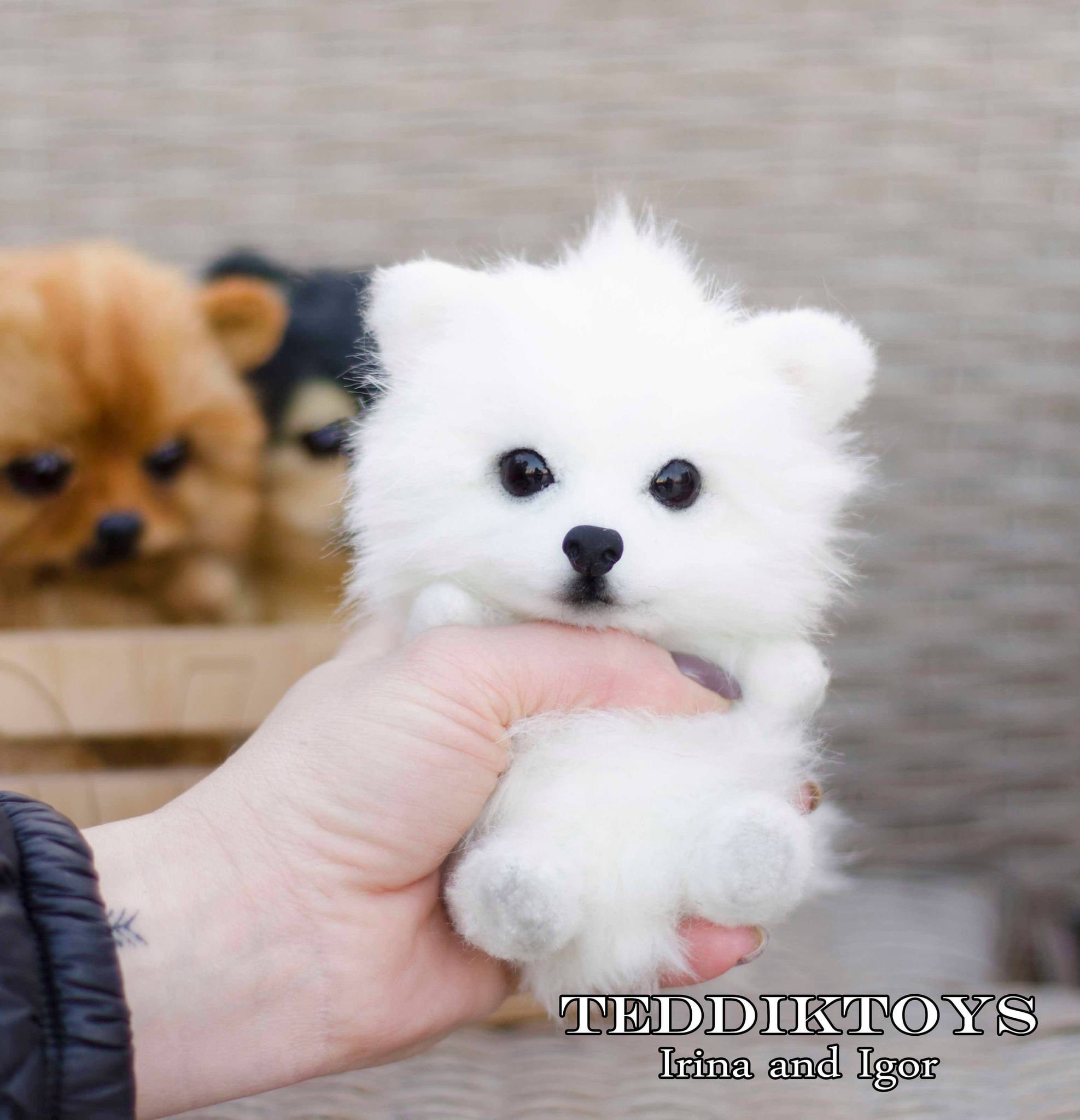 手作りのスピッツの子犬、テディ犬、小さなスピッツ