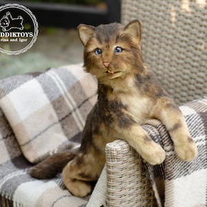 Kitten Realistic life size cat. OOAK artist Handmade collectible animal by photo(made to order)