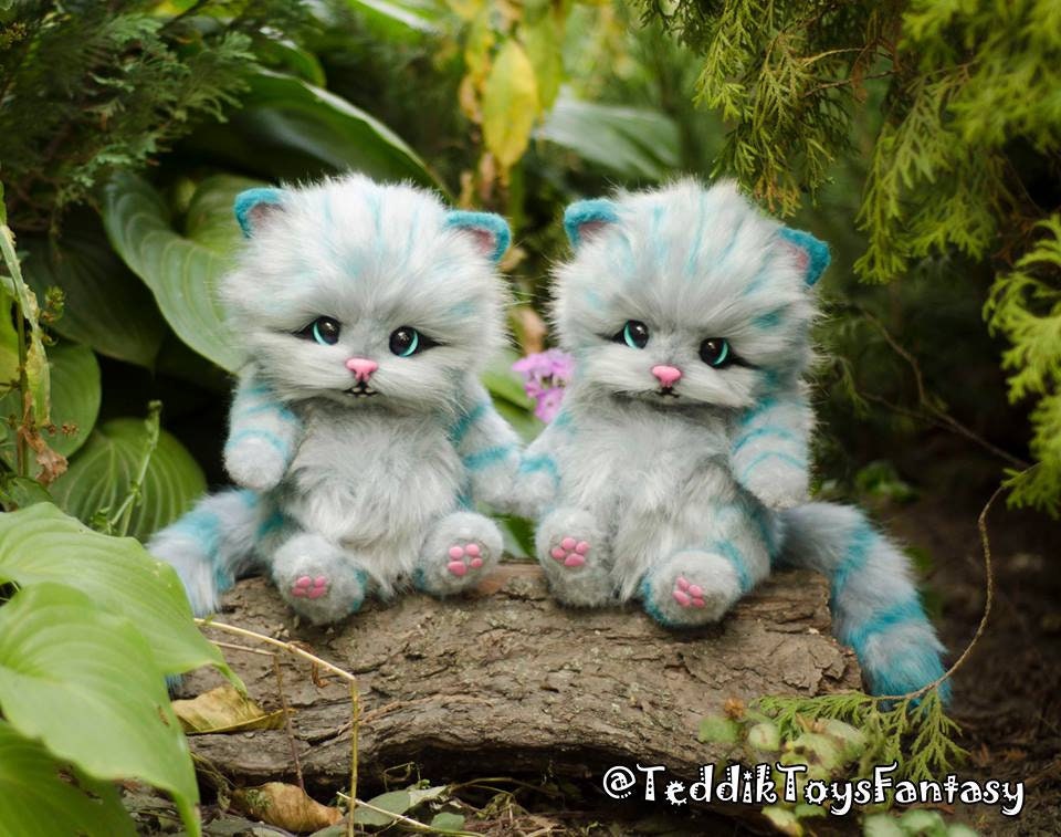 Cheshire Kitten (made to Order) - Etsy
