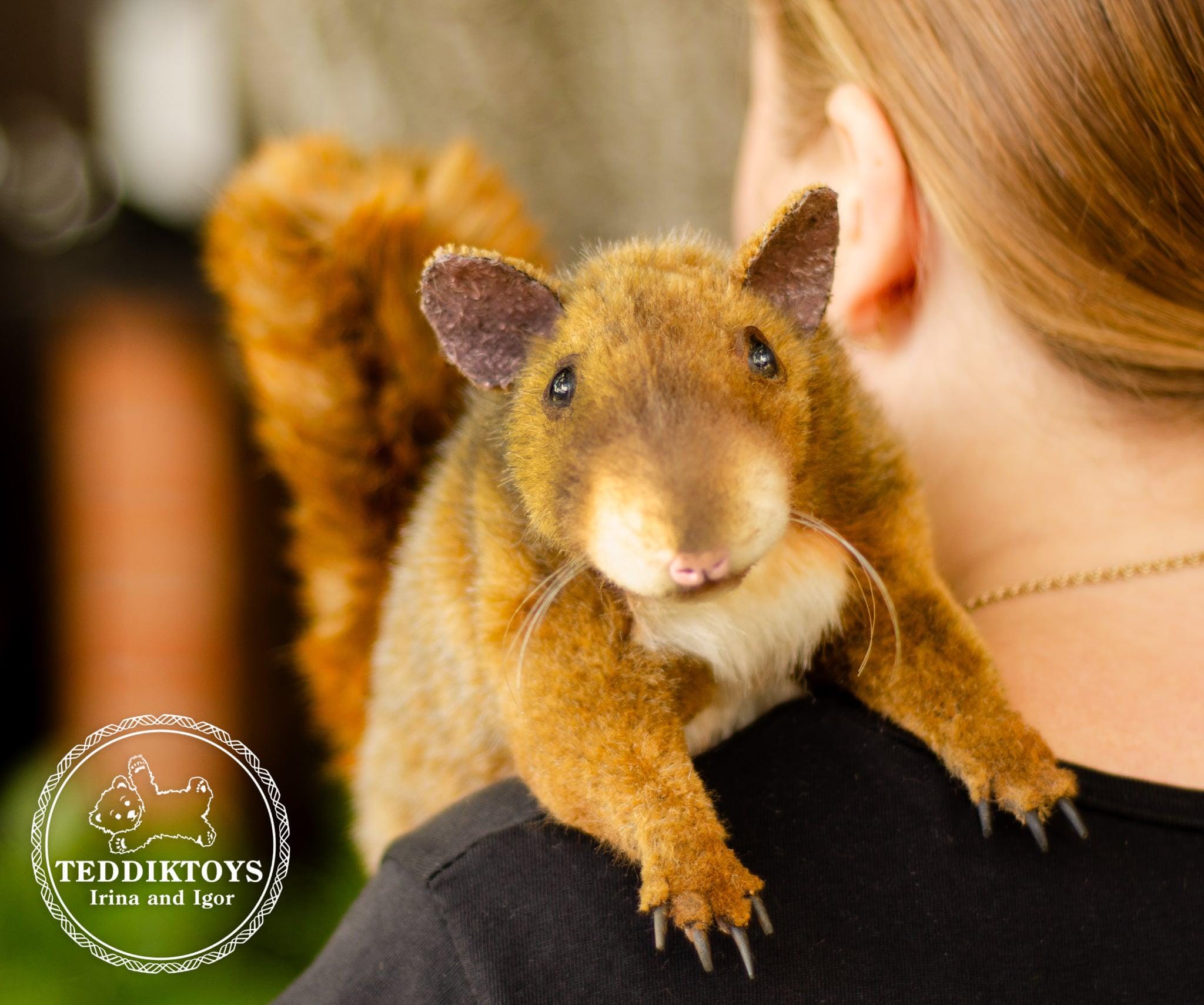Living Nature Grand Écureuil, Écureuil en Peluche Doux et Réaliste, Peluche Écologique Naturli, 17cm, Red Squirrel Living Nature Grand Écureuil, Écureuil en Peluche Doux et Réaliste, Peluche Écologique Naturli, 17cm, Red Squirrel