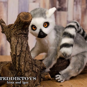 Op de afbeelding: Een pluche lemur speelgoed met grijs en wit haar, oranje ogen en een zwarte neus. De lemur zit op een houten tak. De tekst "TEDDIKTOYS Irina and Igor" is zichtbaar onderaan de afbeelding.