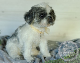 Realistic Puppy Shih Tzu collectible teddy dog handmade plush toy Portrait pet animal by photo dog artist (Made to Order)