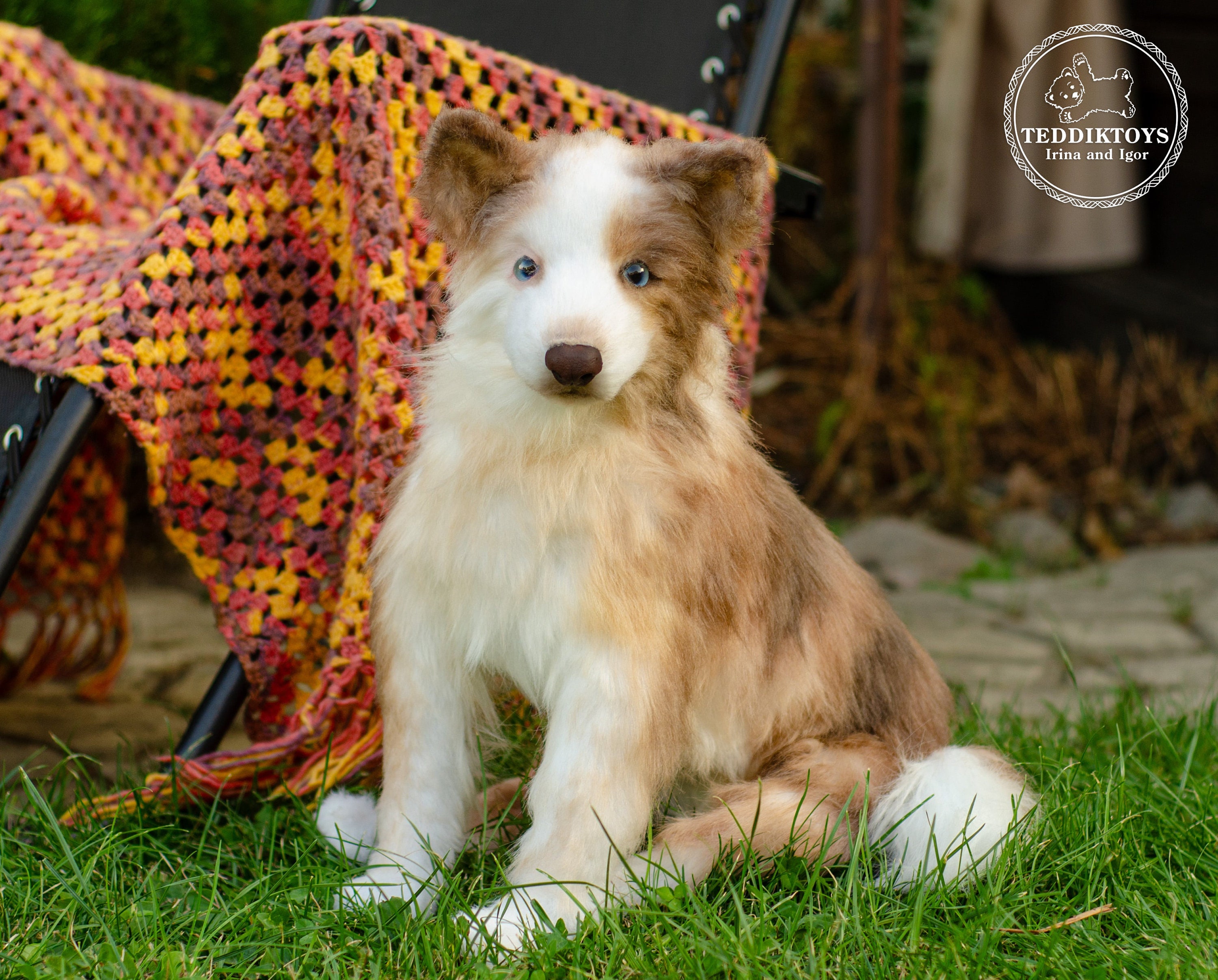 Sottobicchiere Con Border Collie – Regalo Divertente Per Amanti Dei Cani Da Pastore – 9.5x9.5 Cm