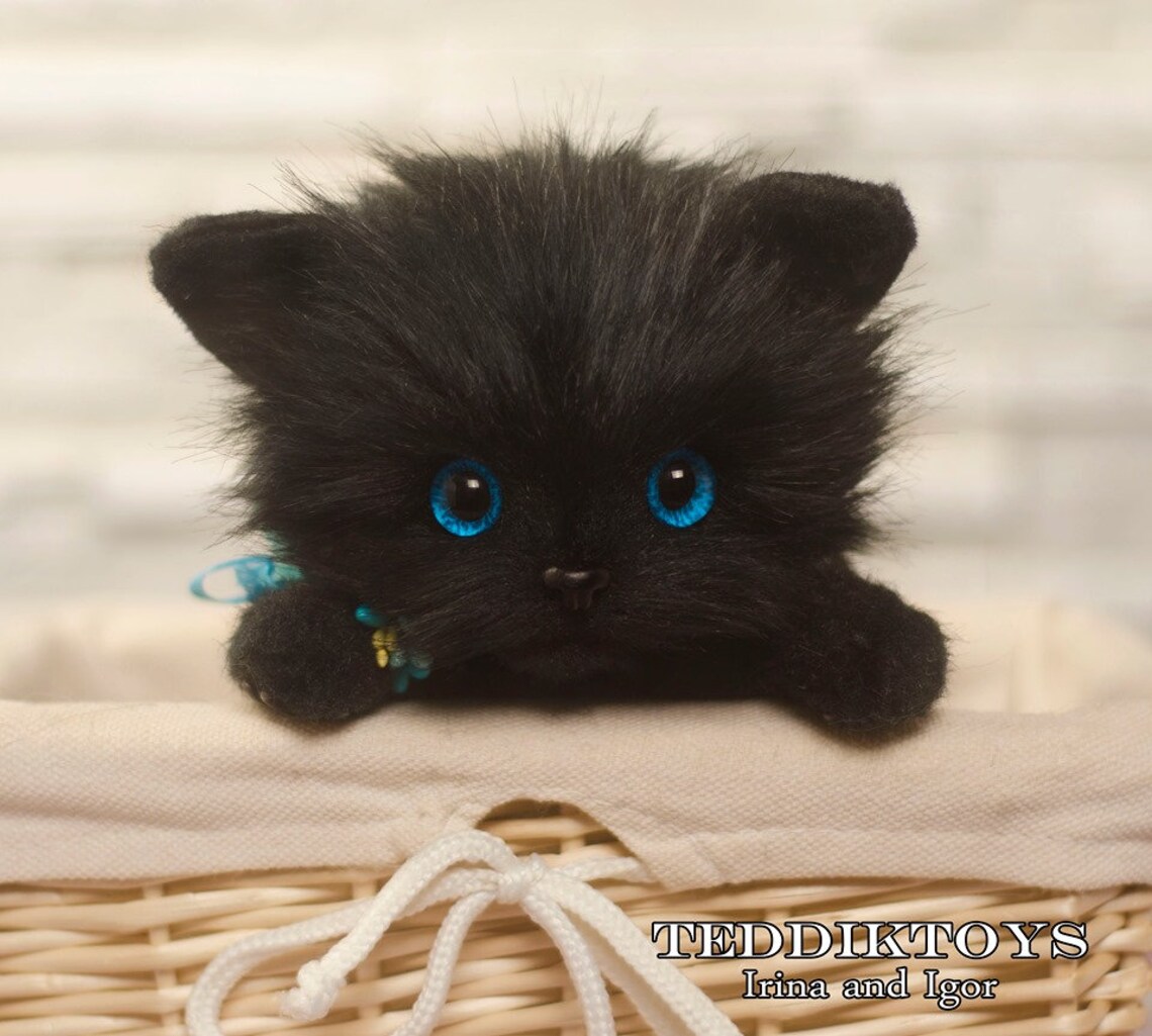 Kitten Black Cat Cat Teddy Teddy Kitten Author's Work | Etsy