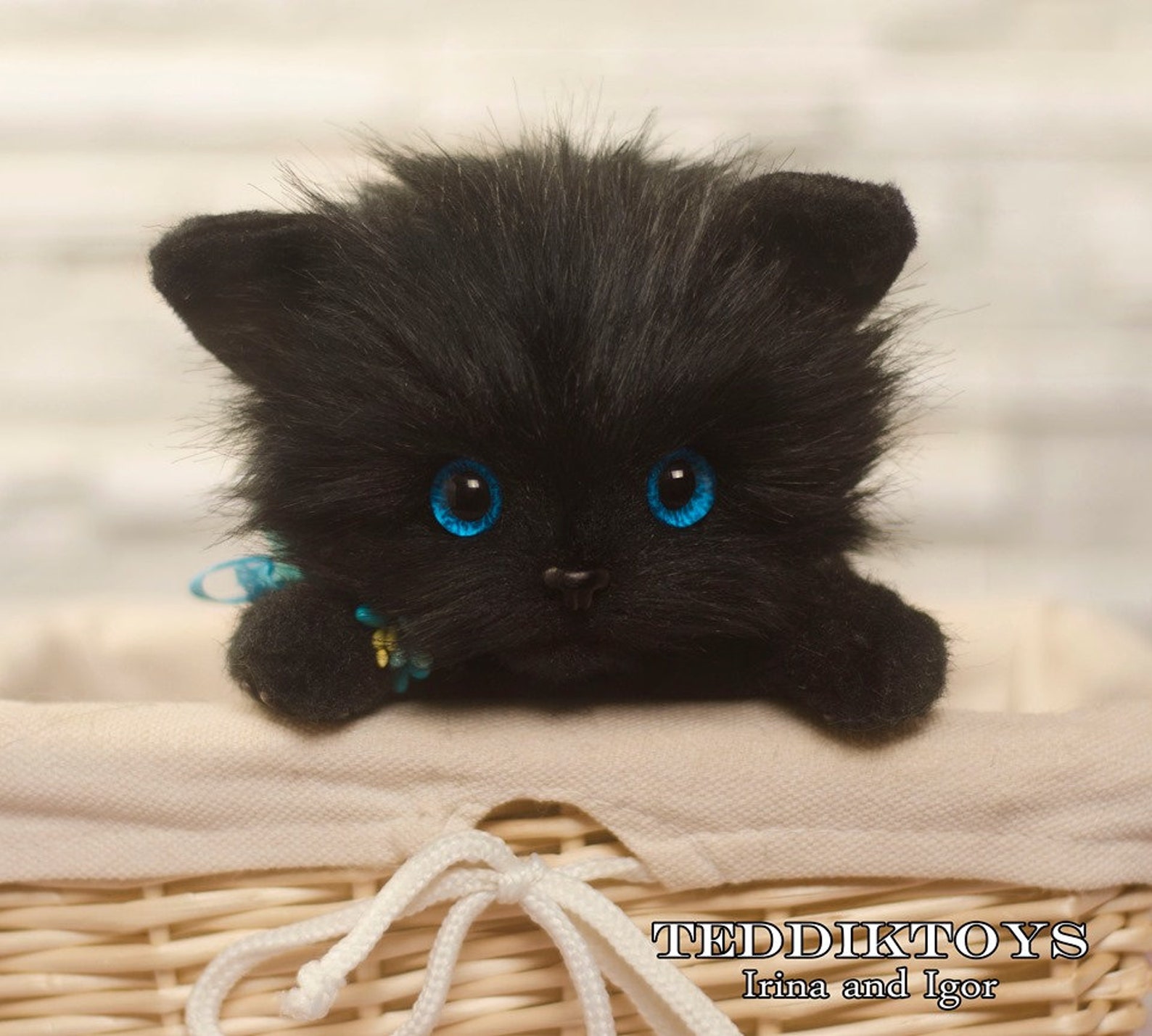 Kitten Black Cat Cat Teddy Teddy Kitten Author's Work | Etsy