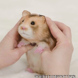 May include: A small, brown and white hamster with pink paws is being held in two hands. The hamster is looking up at the camera. The text "TEDDIKTOYS Irina and Igor" is at the bottom of the image.