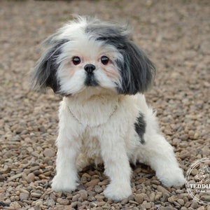 Handmade Shih Tzu Puppy Replica: Custom Pet Portrait (Made To Order)