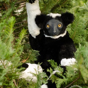 Handgemachte realistische Indri Lemur Plüsch - Kuscheltier, posierbare Sammlerpuppe
