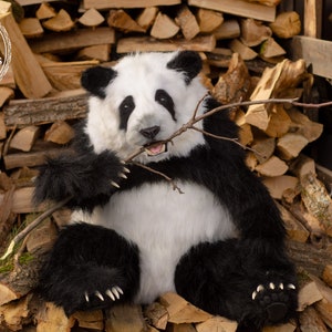Panda Mo handgemachtes Plüsch Sammlerstück Stofftier Teddybär großer Panda