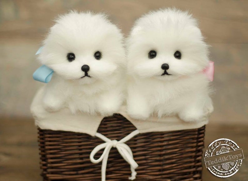 WelpenSpitz Massanfertigung Teddy Hund kleine Spitz Etsy
