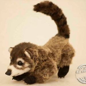 Coati, (répétition possible sur commande) peluche, oeuvre d&#39;auteur, jouet