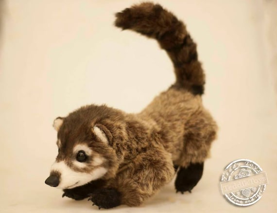 peluche coati