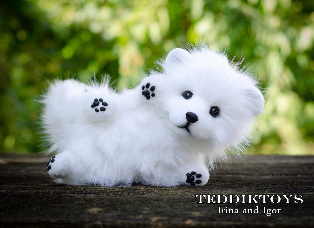 手作りのスピッツの子犬、テディ犬、小さなスピッツ