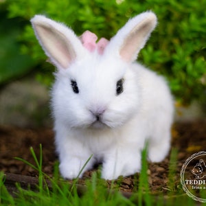 K&ouml;nnte beinhalten: Ein wei&szlig;es Pl&uuml;schkaninchen mit rosa Ohren und einer rosa Schleife. Das Kaninchen sitzt auf einem Bett aus gr&uuml;nem Gras.