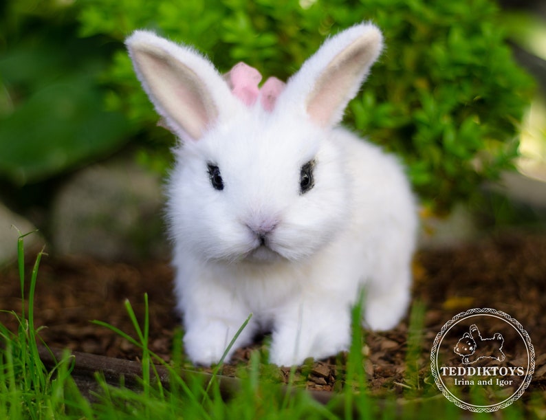 K&ouml;nnte beinhalten: Ein wei&szlig;es Pl&uuml;schkaninchen mit rosa Ohren und einer rosa Schleife. Das Kaninchen sitzt auf einem Bett aus gr&uuml;nem Gras.