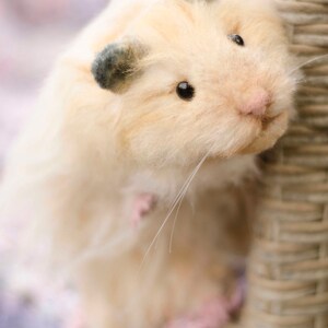 May include: A close-up of a cream-colored hamster with black eyes and ears. The hamster is looking to the right and is leaning against a wicker chair. The hamster is sitting on a pink and purple blanket.