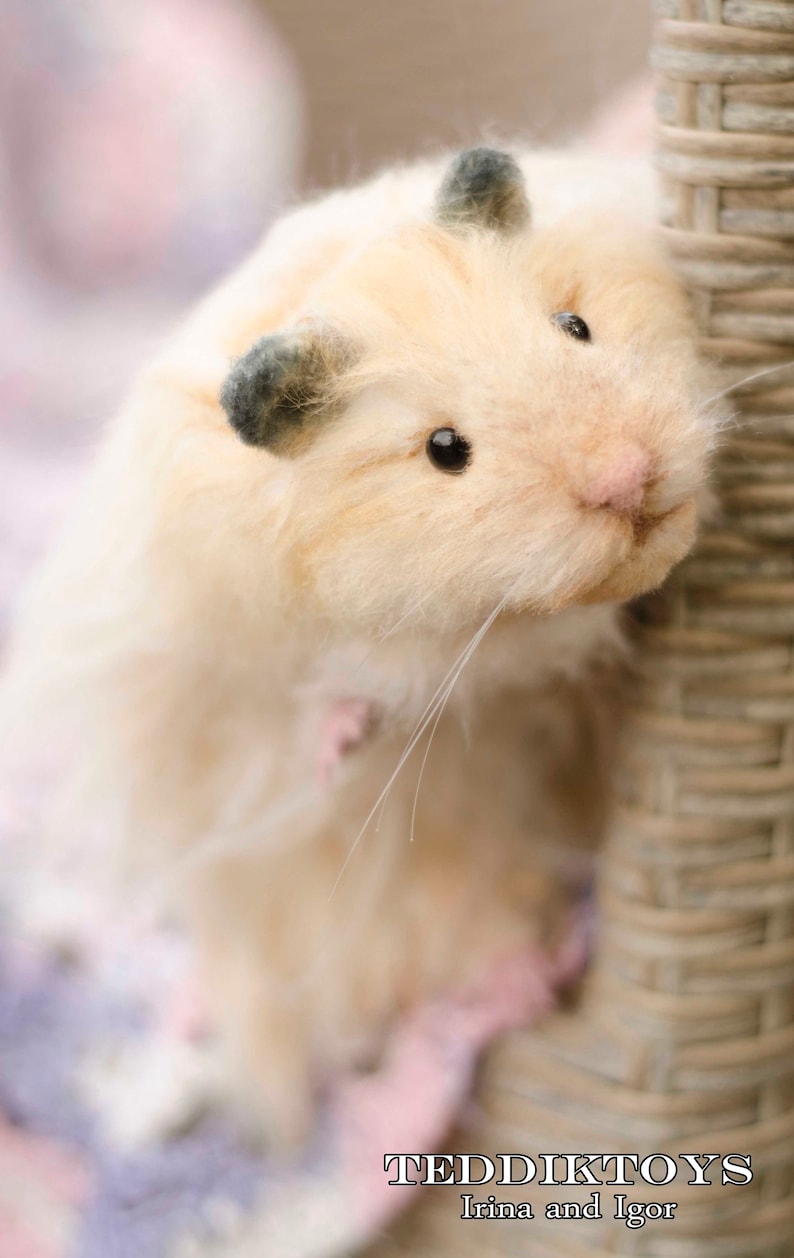 May include: A close-up of a cream-colored hamster with black eyes and ears. The hamster is looking to the right and is leaning against a wicker chair. The hamster is sitting on a pink and purple blanket.