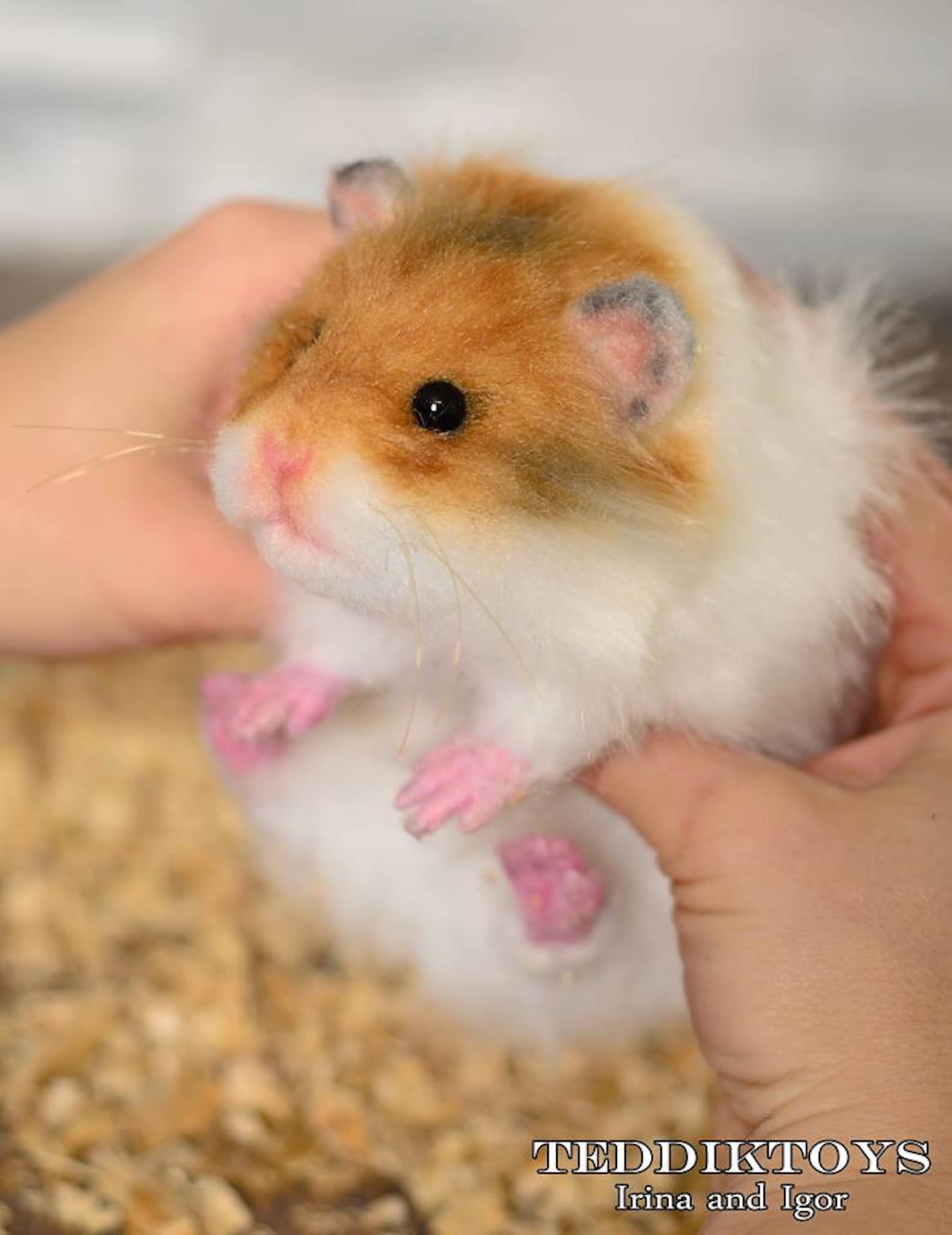 Hamster Candy make to Order Handmade Toy Portrait Pet Etsy