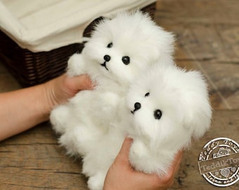 オーダーメイドのスピッツの子犬：コレクター向けポメラニアンの