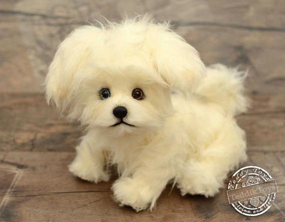 maltese plush