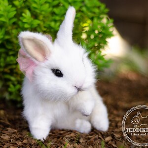 K&ouml;nnte beinhalten: Ein wei&szlig;er Pl&uuml;schhase mit rosa Ohren und einer rosa Schleife. Der Hase sitzt auf einem Bett aus braunem Mulch.