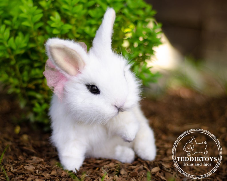 K&ouml;nnte beinhalten: Ein wei&szlig;er Pl&uuml;schhase mit rosa Ohren und einer rosa Schleife. Der Hase sitzt auf einem Bett aus braunem Mulch.