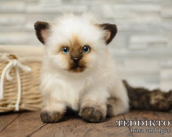 Handmade Kitten Asik Teddy: Posable Plush Cat Art Doll