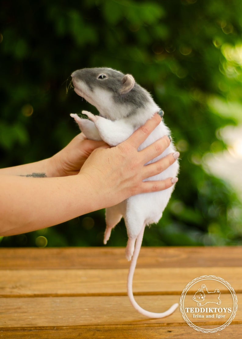 Ratti di peluche realistici fatti a mano - Animali di peluche personalizzati con parti in silicone immagine 1