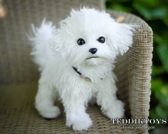 Maltese Lily , teddy dog ,Teddy ,Toy , dog ,plush dog, (made to order)