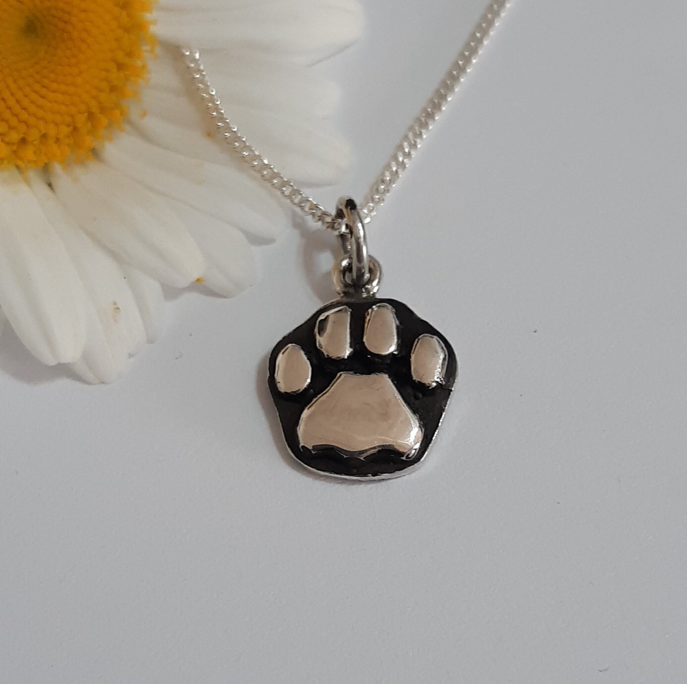 Sterling Silver African Lion Paw 
