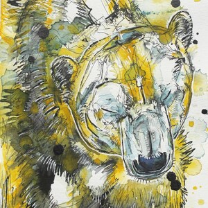 Polar Bear
