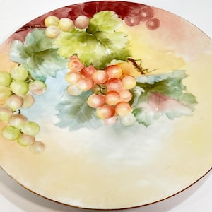J. P. L. France Limoges Plate With Hand Painted Small White J. P. L. France Limoges Plate With Hand Painted Small White