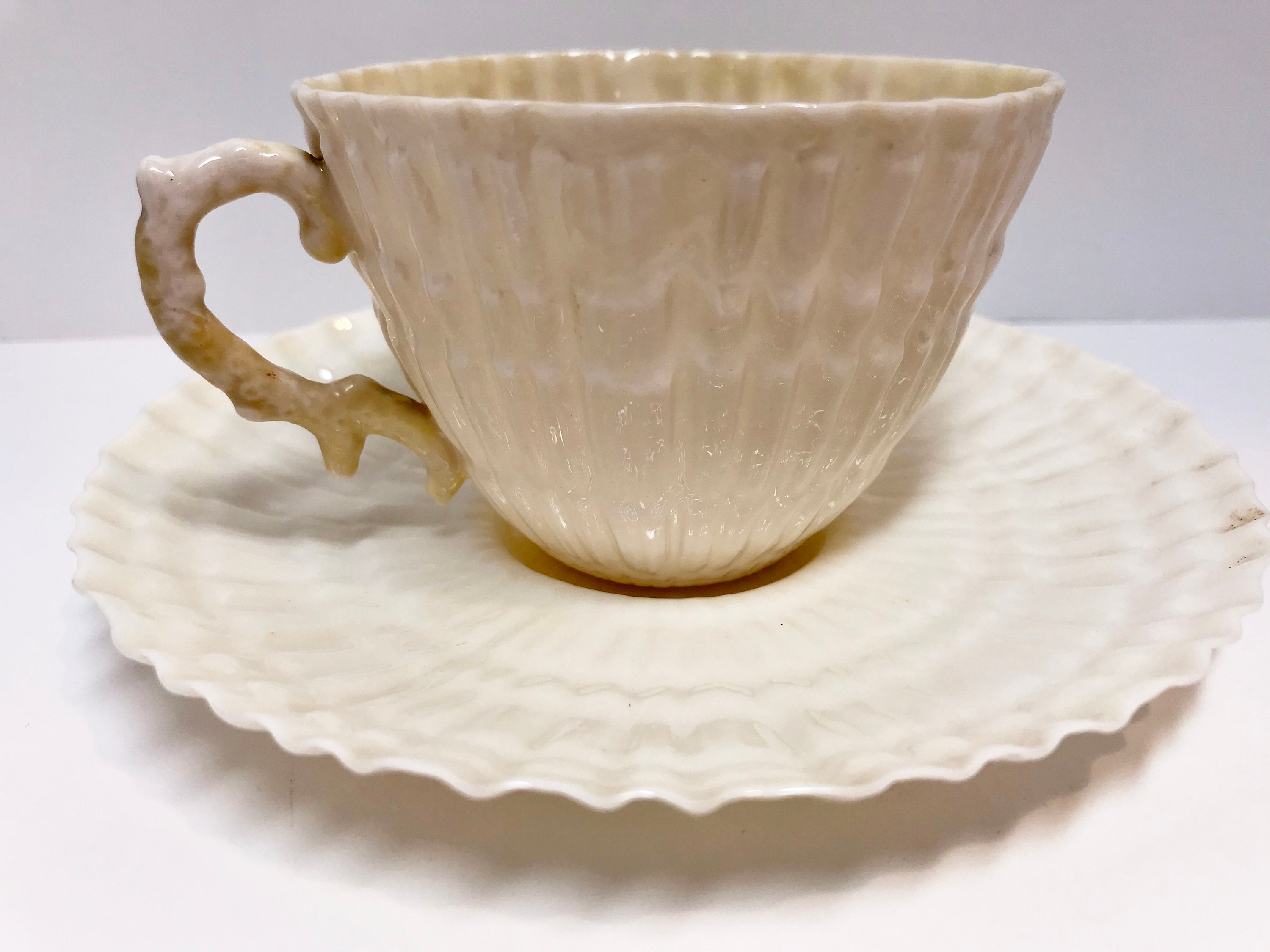 Reserved for SR, Belleek Limpet Tea Cup and Saucer, Irish Tea Cup