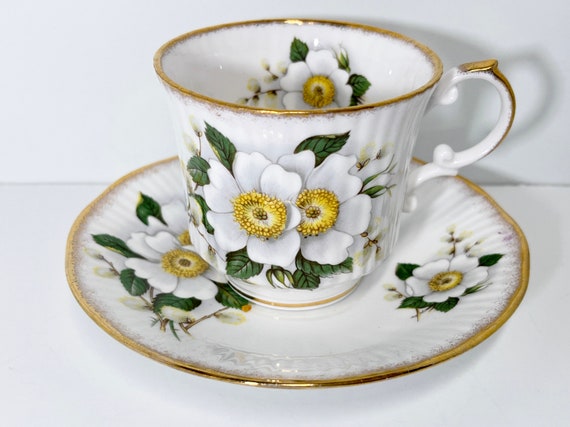 Queens Rosina Teacup and Saucer  Floral Teacup  Antique Teacups Vintage  Antique Tea Cups Vintage