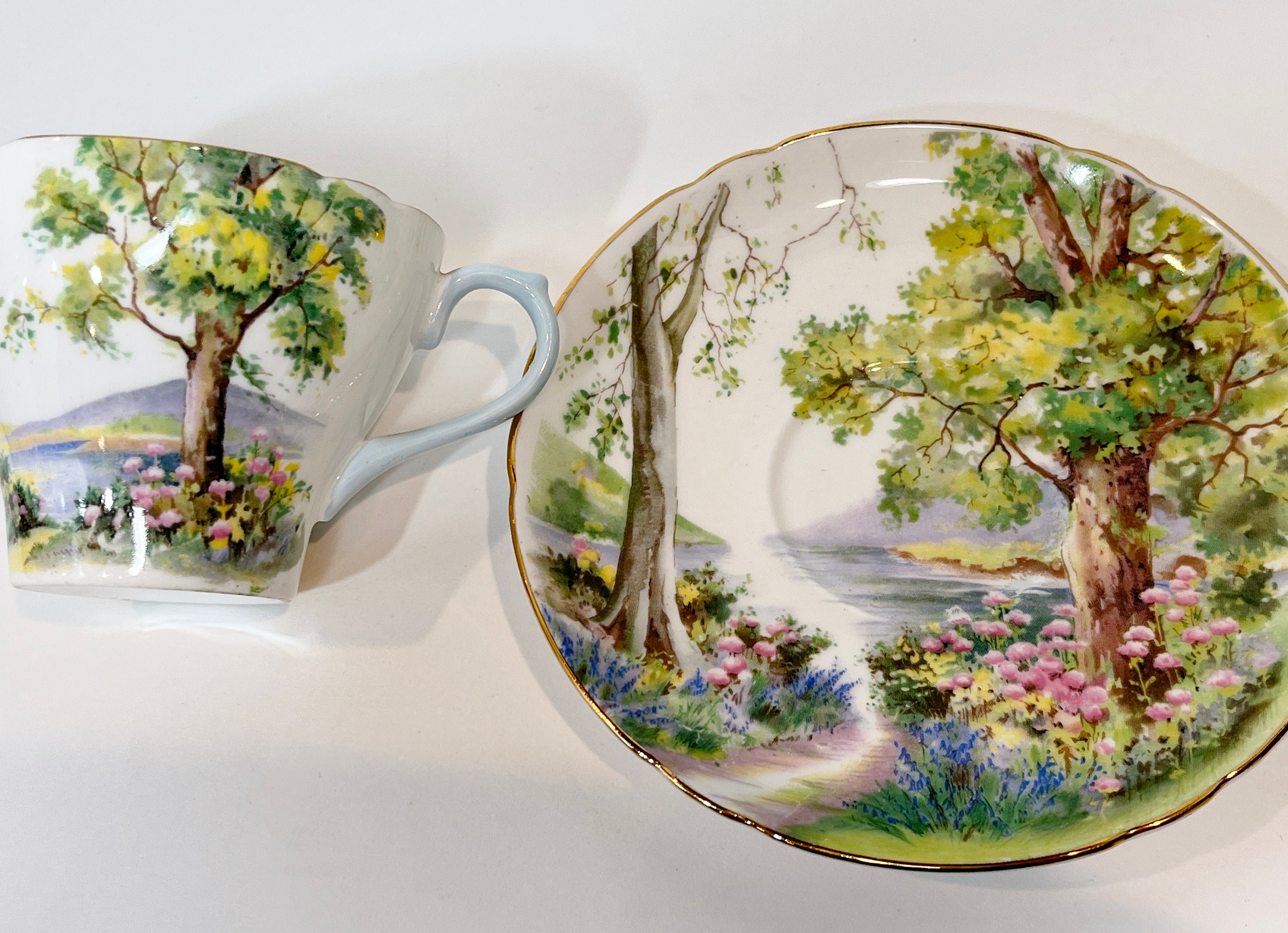 Shelley Woodland, Shelley Teacups, Shelley China, Shelley Bone China