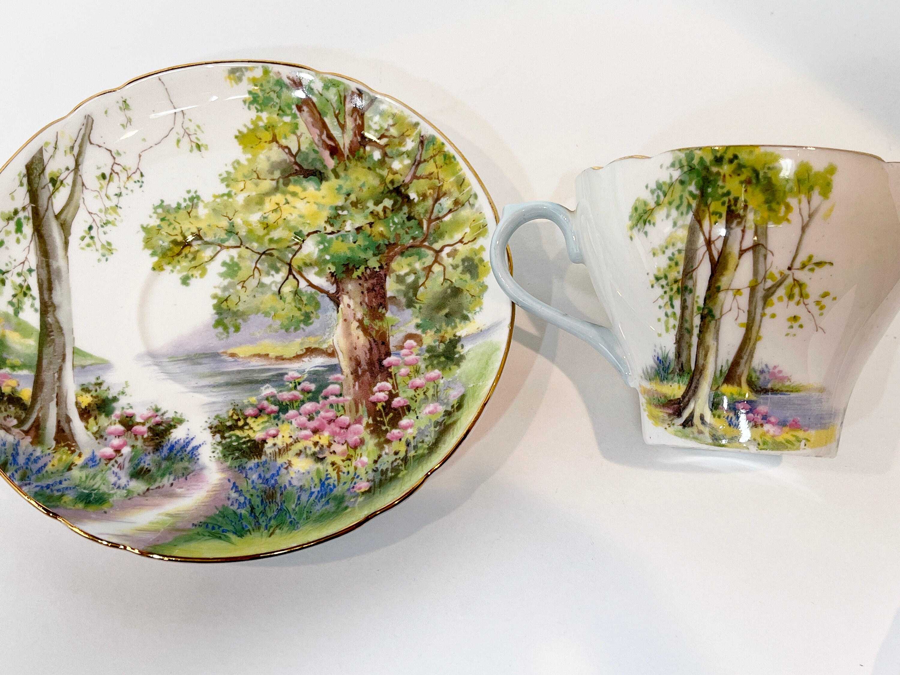 Shelley Woodland, Shelley Teacups, Shelley China, Shelley Bone China