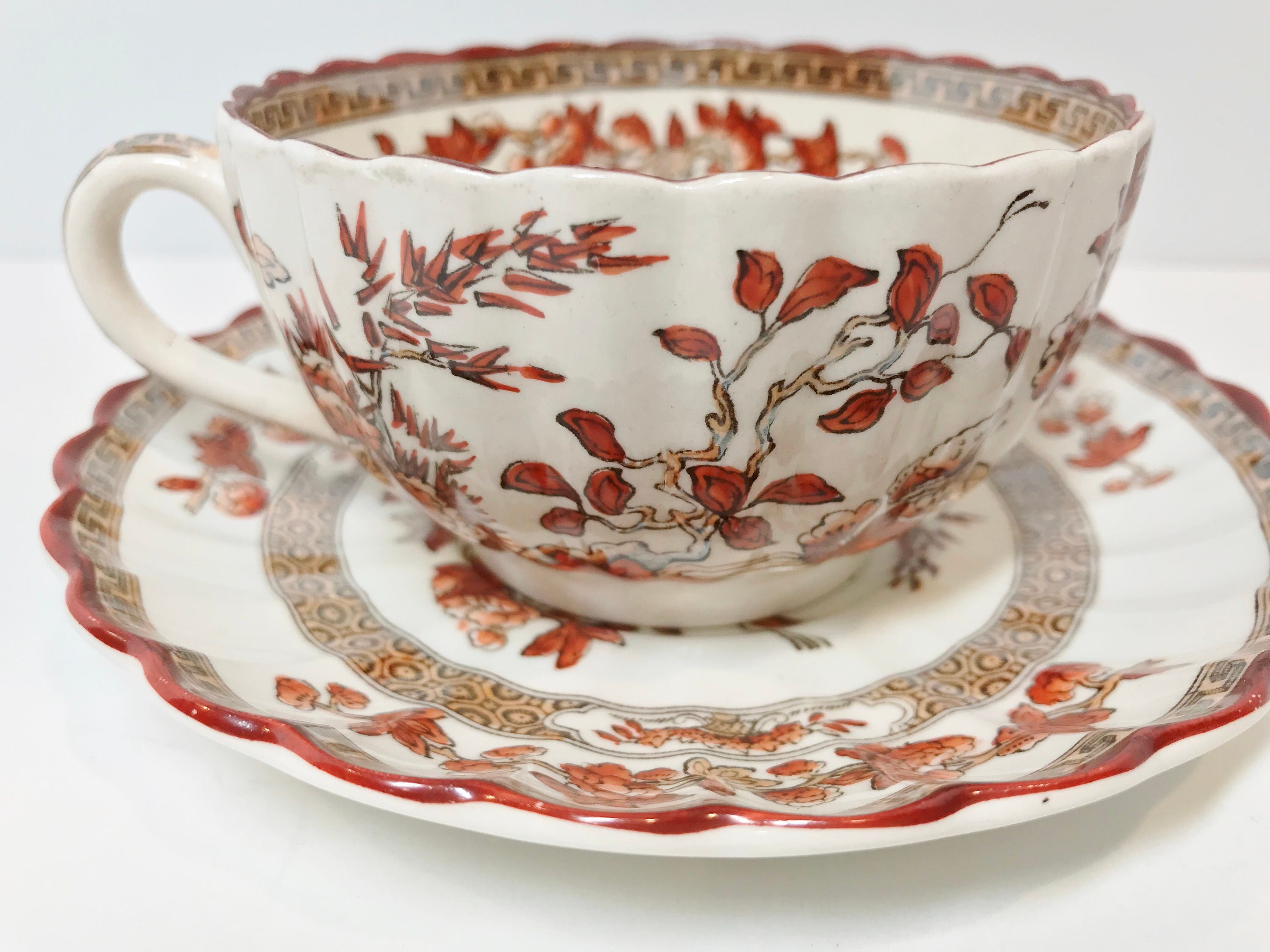Spode Tea Cup and Saucer, India Tree Pattern, English Bone China Cups