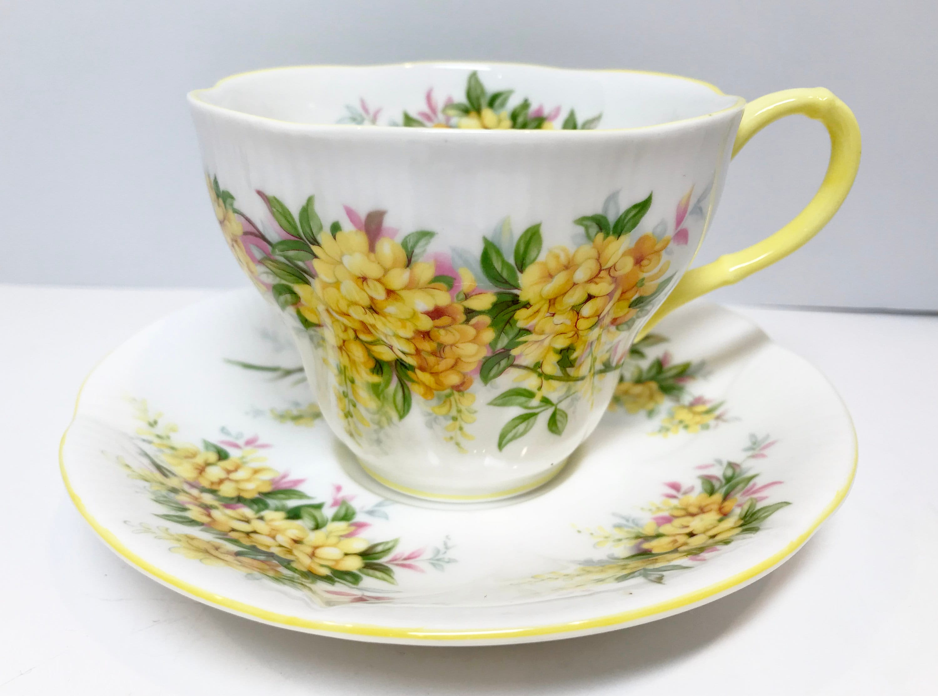 Royal Albert Tea Cup and Saucer, Blossom Time Series, Laburnum Pattern ...